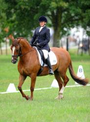 Dressage