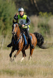 Endurance Riding