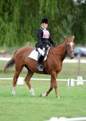 Dressage