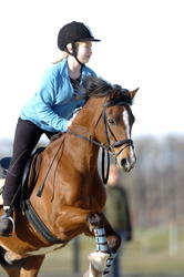 Montana Arena Showjumping August 2011