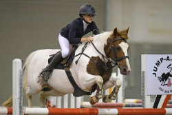 Pony 1.15m