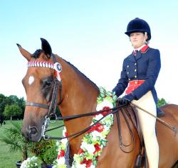 Paced and Mannered Pony