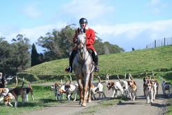 Hawkes Bay Hunt Okawa 2023