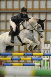 Horse 1.30m