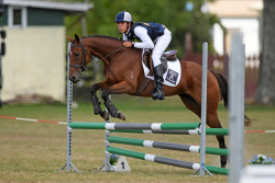 Showjumping