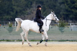 Montana Arena Showjumping July 2012