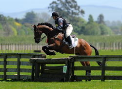 Havelock North Pony Club ODE 2012