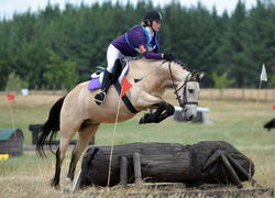 Flaxmere Pony Club ODE 2013