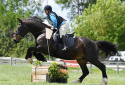 Flaxmere Pony Club ODE 2017