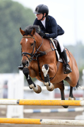 Feilding World Cup Show 2021