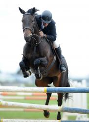 Feilding World Cup 2015