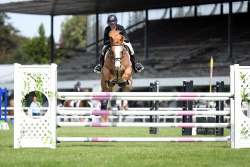 Pony Grand Prix