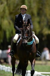 Wairoa A&P Show 2015