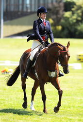 Manawatu A&P Show 2009