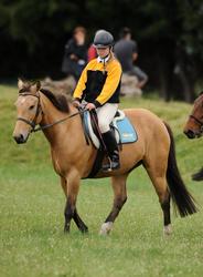 Puketapu Pony Club November 2010