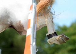 Wairoa Jumping Show 2019