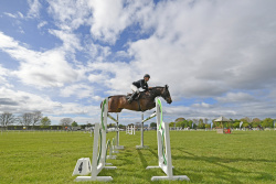 Friday - Horse 1.35m Mini Prix