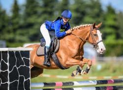 Show Jumping 95cm