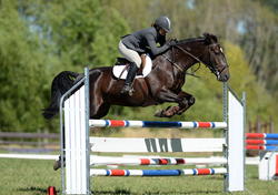 Wairoa Jumping Show 2015