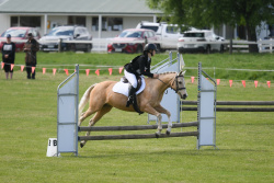 65cm Show Jumping