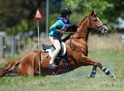 Puketapu Pony Club ODE 2015