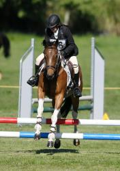 Showjumping