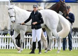 World Cup Trot Up