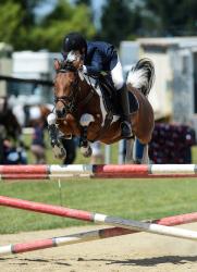 Pony 1.05m