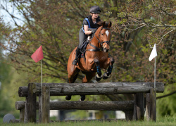 Flaxmere Pony Club ODE 2019