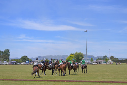 Poverty Bay v Birchleigh