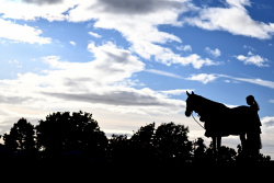 Land Rover Horse of the Year 2024