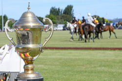 Wine Country Cup - Waipawa Butchery v Versalux