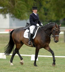 Hawkes Bay Dressage Championships 2011