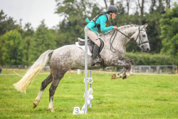 Show Jumping 80cm