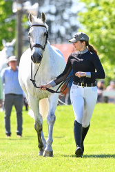 World Cup Trot Up