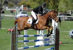 Pukahu Districts Show 2012