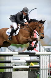 Gisborne A&P Show 2013