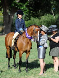 Wairoa A&P Show 2013