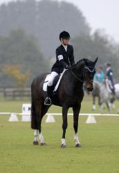 Dressage