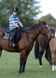 Puketapu Pony Club 2011