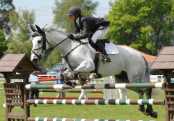 Hawkes Bay A and P Show 2008