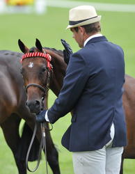 National Showing and Rider Championships 2012