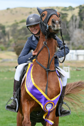 Pony Two Fence Challenge