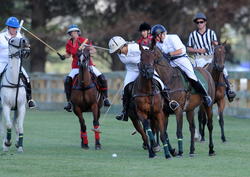 Birchleigh Polo Club 2015