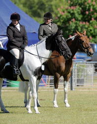 Waipukuray A&P Show 2012