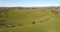 Scenery and Field Shots