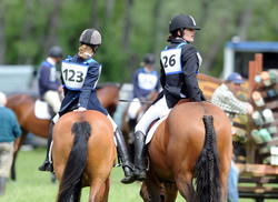 Havelock North Pony Club ODE 2014