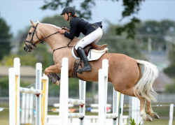 Pony Grand Prix