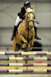 Pony Grand Prix