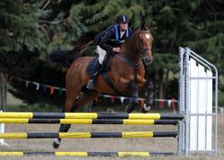 Hawkes Bay Area Pony Club ODE Arran Station 2013